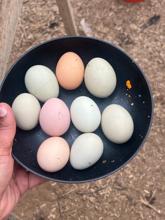 7 Things Sunday 3.31.24- Easter Sunday