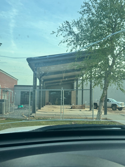 The Bubble...4.15.2026...
